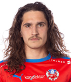Ervin Gigovic