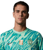 Diego Callai Silva