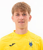 Vlad Lupasco