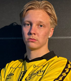 Altti Hellemaa