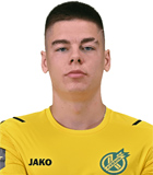 Maksim Vedeneev
