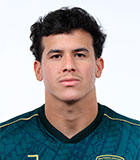 Fabricio Yan