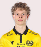 Bork Bang-Kittilsen