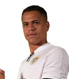 Luizinho Guedes