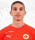 Dzenan Puce