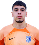 Vlad Rafaila