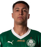 Thalys Henrique Gomes de Araujo
