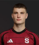 Roman Horak