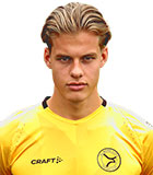 Joel van der Wilt