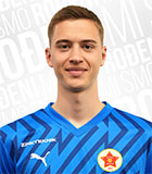 Tarik Karic