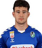 Dominik Stoger