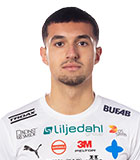 Emin Hasic