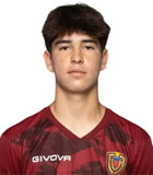 Pablo Ibarra