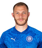 Davit Gotsiridze
