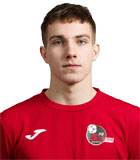 Dominykas Pudzemys