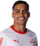Vinicius Mendonca Pereira