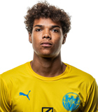 Theo Hansen