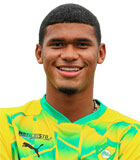 Pedro Miguel Miranda Pereira