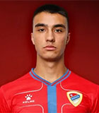 Pavle Djajic