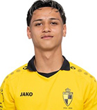 Tiago Vermeulen