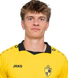 Thiebe Van Elsuwege