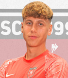 Raul Gherman