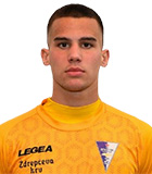 Dimitrije Minic