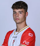 Stan van Manen
