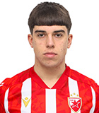Strahinja Stojkovic