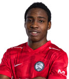 Victor Promise