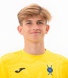 Viorel Varzaru