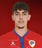 Domagoj Culina