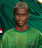 Salim Ahmed