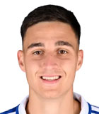 Luka Mikulic