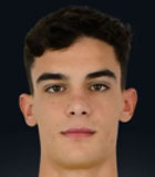 Vasilios Theofanopoulos