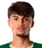 Larson Torna Ferreira dos Santos
