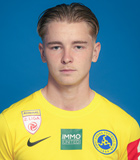 Louis Birkhahn
