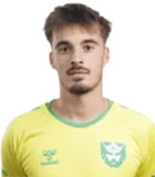 Victor Swinnen