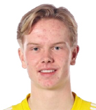Wilton Ljunggren