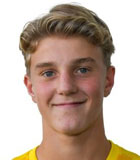 Ulrik Danbolt