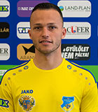 Zoltan Medgyes
