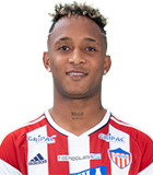 Nilson David Castrillon Burbano