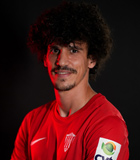 Luis Miguel Teixeira Ribeiro