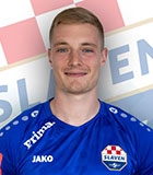 Tomislav Strkalj