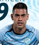 Nelson Amarilla