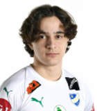 Maximo Tolonen