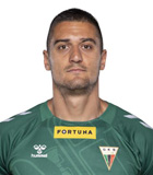 Nemanja Nedic