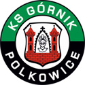 Gornik Polkowice