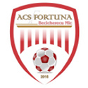 Fortuna Becicherecu Mic