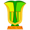 Atletico Palmaflor